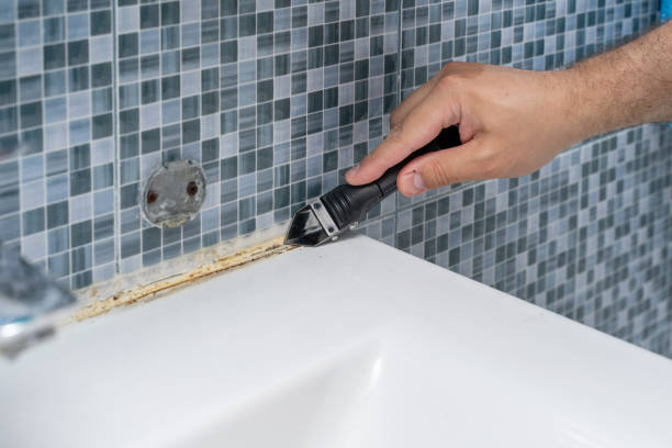 Best Black Mold Removal  in San Diego, TX